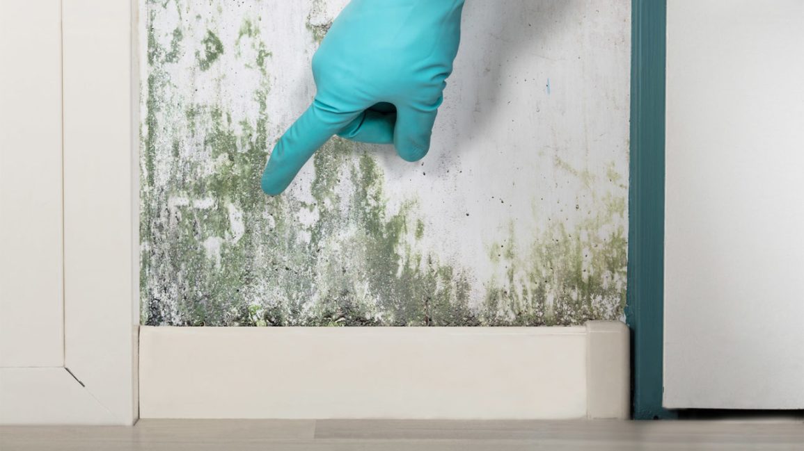 Mold_Hand_Glove_1296x728-header-1296x729