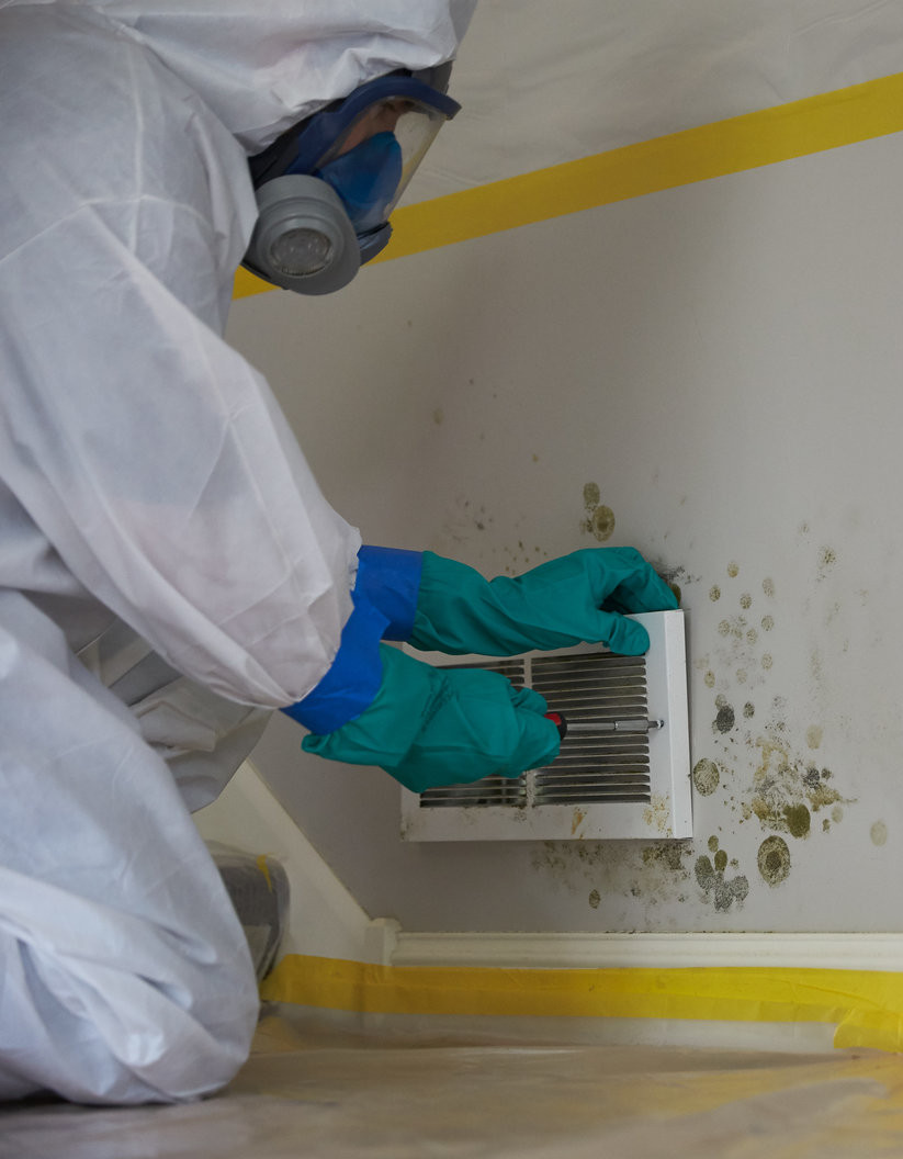 Mold-Remediation-Services